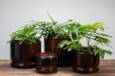 Upcycled plantepotter i metal - Sæt med 2 stk - Gråblå + Flaskegrøn
