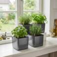 Lille antrazit Lechuza plantepotte med selvvanding - 16x16x16cm