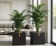 Sort glat firkantet kubisk krukke smooth black