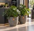 Rund Ball Rib indendørs plantekrukke - Sort + Antrazit + Ivory + Taupe