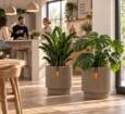 Indendørs rund plantekrukke i varm taupe med ribber - Ø.36cm + Ø.44cm