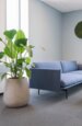 Stor indendørs konisk krukke i fiberbeton / Concrete look - Op til Ø.110cm