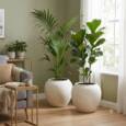 Indendørs krukker i antik hvid glasfiber med nistret look - 45x45 + 55x55
