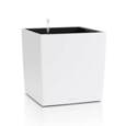 Lechuza Cube Color med selvvanding
