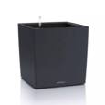 Lechuza Cube Color med selvvanding