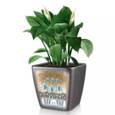 Lechuza Quadro plantepotter 21x21cm antrazit