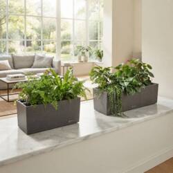 Lechuza blomsterkasse / altankasse Stone / selvvanding - 4 farver