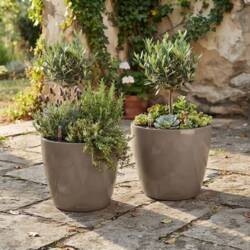 Lechuza Classico Premium Ø.50cm - m/u hjul / selvvanding - 6 farver