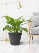 Konisk rund Krukke / Plantepotte i recycle gummi