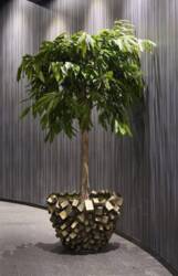 Mattone Pot med antik gold cubes - Ø.75cm