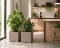 Lechuza Canto Stone Struktur Lav - 30x30 + 40x40 - 4 farver - M/U Hjul