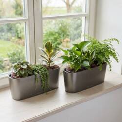 40cm aflang plantekrukke med selvvanding til vinduer - Hvid + Antrazit