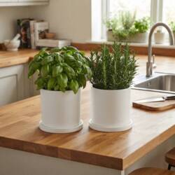 Hvid Rockstone urtepotte med underfad - Ø.15+18+20+23cm