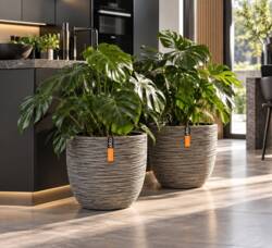 Rund Ball Rib indendørs plantekrukke - Sort + Antrazit + Ivory + Taupe