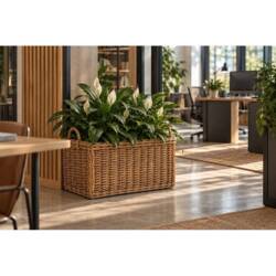 Aflange rattan krukker med hjul - L.60cm + L.70cm