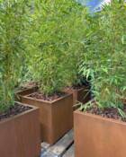 Firkantede kubiske rust krukker i cortenstål / 3 str